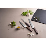 Victorinox Kuchařský nůž 19 cm, dřevěná rukojeť, dárkové balení (5.2000.19G)